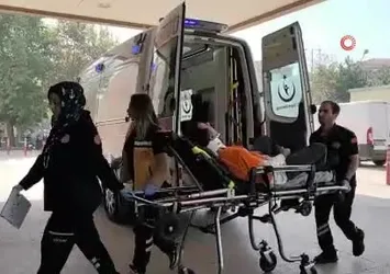 Balıkçının ağına 30 kiloluk Turna balığı takıldı