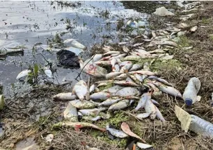 Eyüpsultan'da tedirgin eden görüntüler!