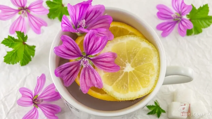 Hafızayı güçlendiren içecekler açıklandı: Yeşil çay ve kahve listenin başında 7