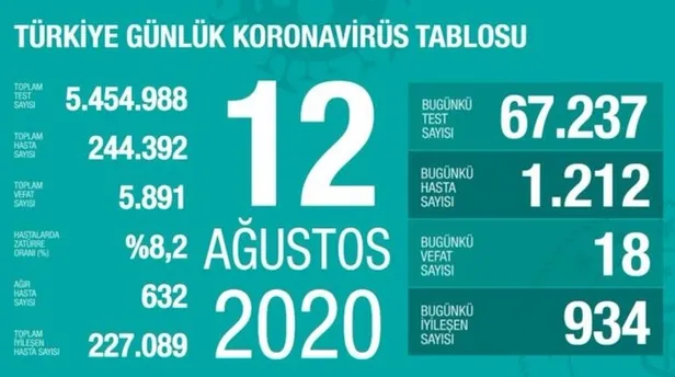 14 Ağustos koronavirüs tablosu: Türkiye’de corona virüsü vaka sayısı kaç oldu? Koronadan kaç kişi öldü?