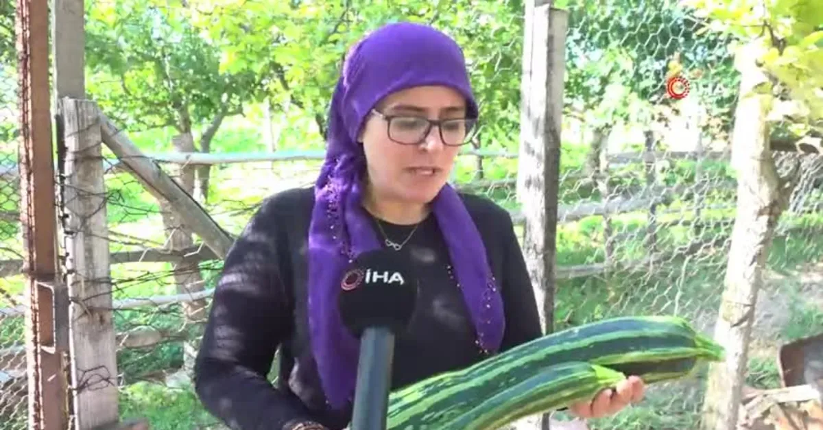 Komşudan tohum istedi! Yetişen sebze şaşkına çevirdi
