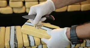 Dev operasyon! 275 kilogram yakalandı