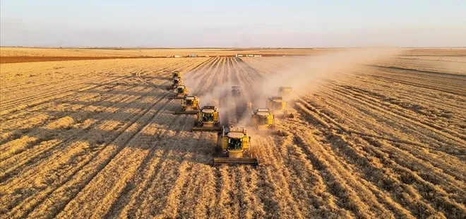 TİGEM 2 bin ton buğday satacak