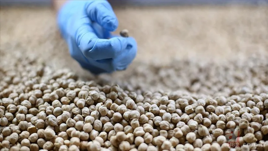 Yerli Malı Haftası nedir? | Tutum, Yatırım ve Türk Malları Haftası önemi nedir? 9