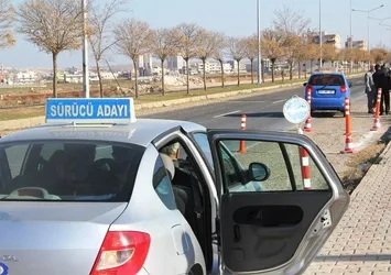 Ehliyetlere video standartı