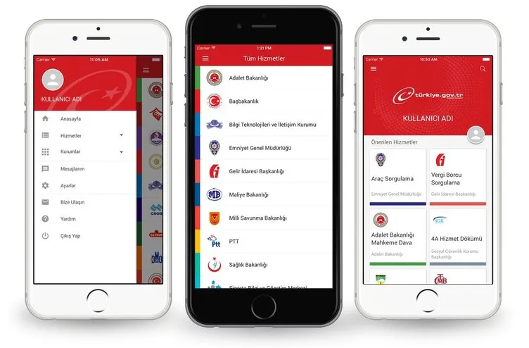 e-Devlet'ten sonra bir ilk daha! Vatandaş Açık Kapı'dan memnun