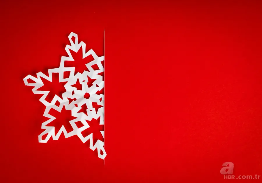 Yılbaşı kutlamak günah mı? DİYANET yılbaşı ağacı alıp süslemek haram mı? 1