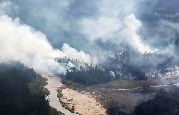 Rusya’nın Sibirya bölgesinde 3 milyon hektarı aşkın orman kül oldu