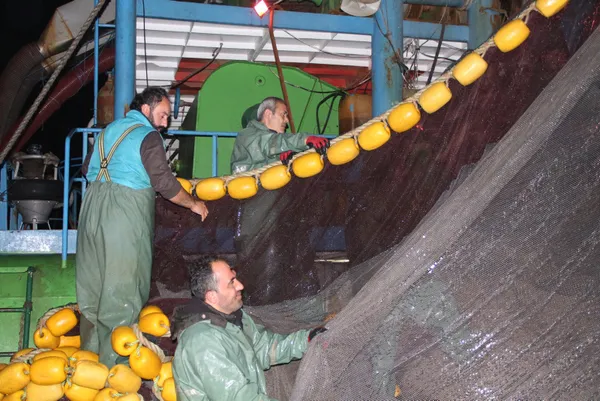 1612660803558.jpg Balıkçılar "Vira Bismillah" dedi! Hamsi avında kısmi yasak kalktı - 5