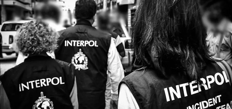 194 ülkede kırmızı bültenle aranan şüpheli özel kelepçeyle Türkiye'ye getirildi
