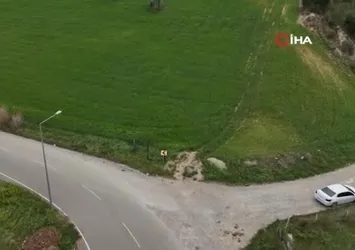 Adanalı çiftçi Nasrettin Hocayı aratmadı