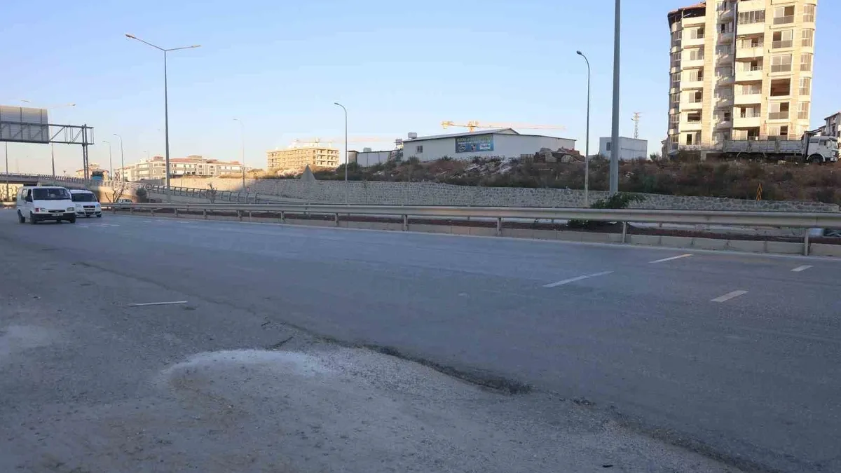 Ahırdan kaçan buzağı, kara yoluna çıkınca sürücülere zor anlar yaşattı