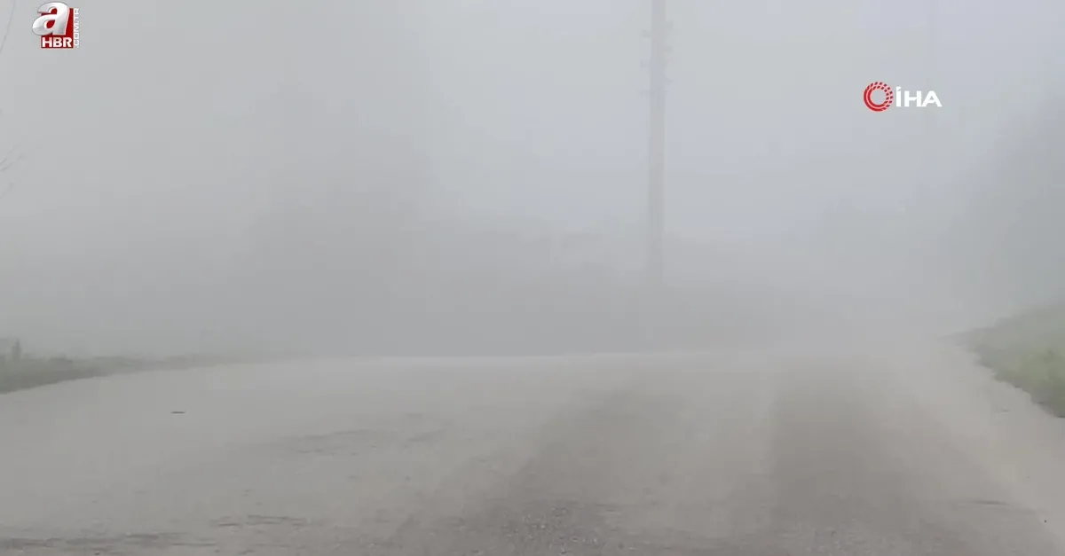 Kocaeli'de sis etkili oluyor