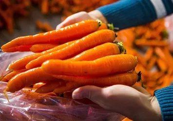 Her gün 1 tane tüketin! Havucun bilinmeyen faydaları...