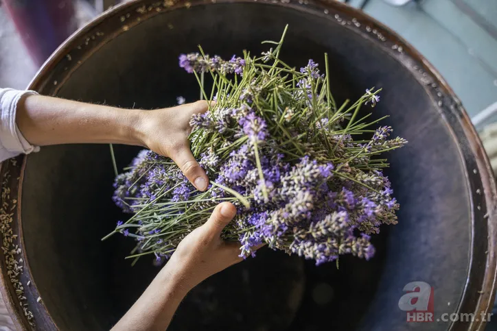 Ter kokusuna kökten çözüm! Evden çıkmadan sürün ve... 7