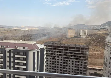 Mardin'de örtü yangını söndürüldü