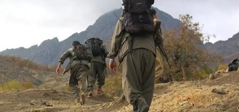 PKK'da çözülme sürüyor! O terörist teslim oldu