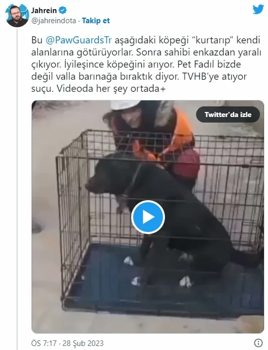1678525405408.jpg Akılalmaz iddialar! Deprem bölgesindeki kedileri kim satıyor? - 9