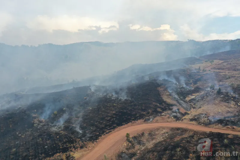 Kahramanmaraş'taki orman yangınının nedeni ortaya çıktı! Torpil şakası 80 hektarı küle döndürdü 8