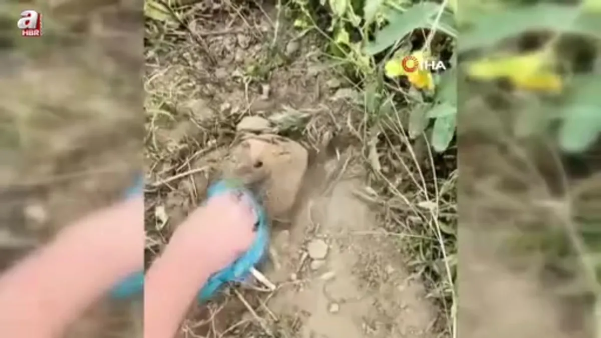 İzmir'de dron ile uyuşturucu sevkiyatına operasyon