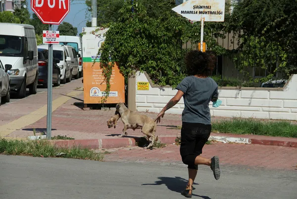 1630164441606.jpg Antalya'da canilik: 5 yavru köpek önce zehirlendi ardından yakıldı - 5