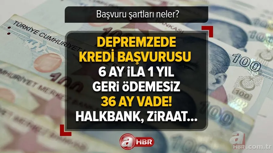 Kamu bankaları kolları sıvadı! 6 ay ila 1 yıl geri ödemesiz 36 ay vade... Halkbank, Ziraat Bankası, Vakıfbank... DEPREMZEDE KREDİ BAŞVURUSU 1