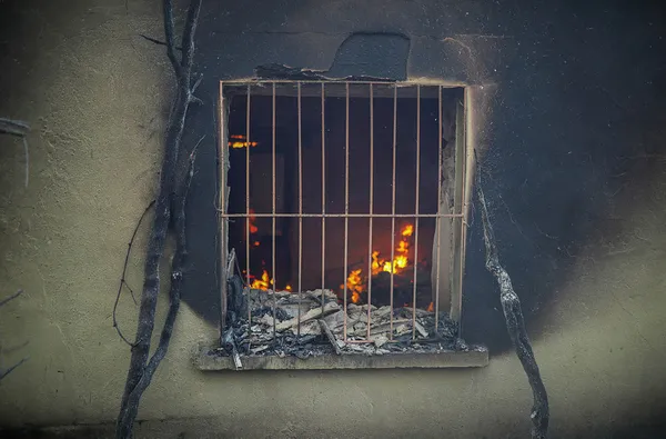 Tarım ve Orman Bakanı Bekir Pakdemirli’den Antalya Manavgat’ta çıkan yangına ilişkin son dakika açıklamaları