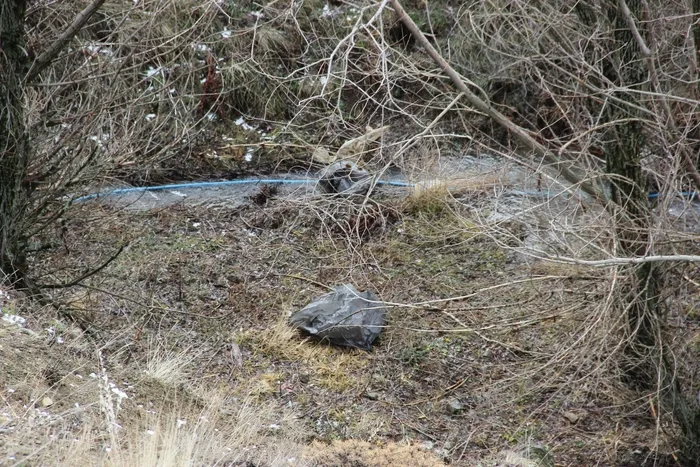 corumda-komsu-vahsetinde-kan-donduran-itiraf-6-parcaya-boldum-1770143817194.jpg Fotoğraf-İHA