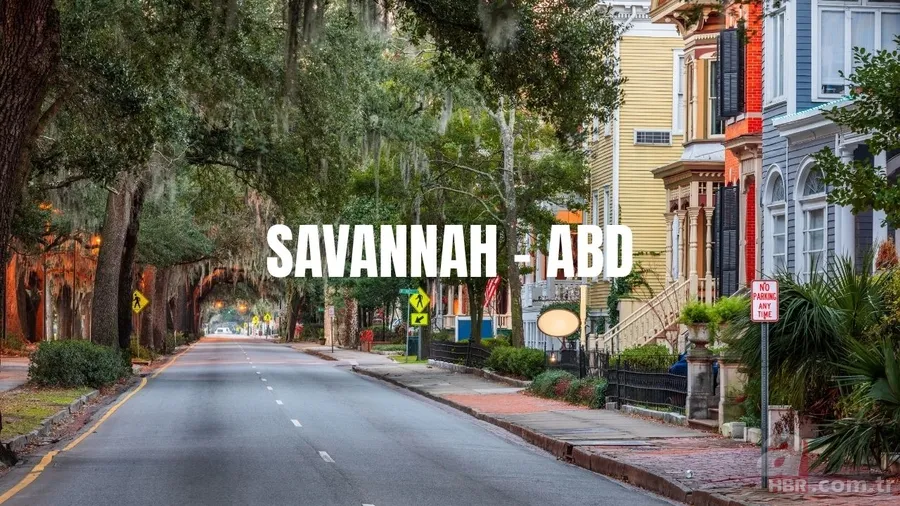 100 yıl içinde bu şehirler yok olabilir! Yeni araştırma şok etti: Risk haritasında Türkiye'den iki kentte var! 9