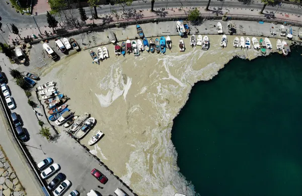 1622613386477.jpg Marmara Denizi’nde deniz salyası kabusu! Kurtarmak için plan - 1