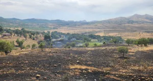 Diyarbakır’da otluk yangını
