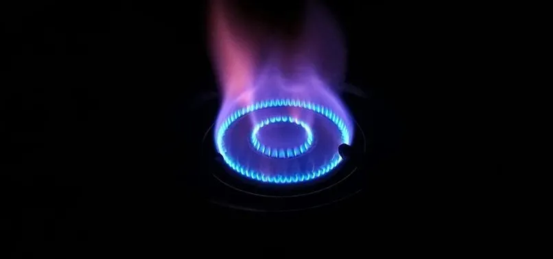BOTAŞ'tan doğal gaz fiyatlarına yüzde 1 zam