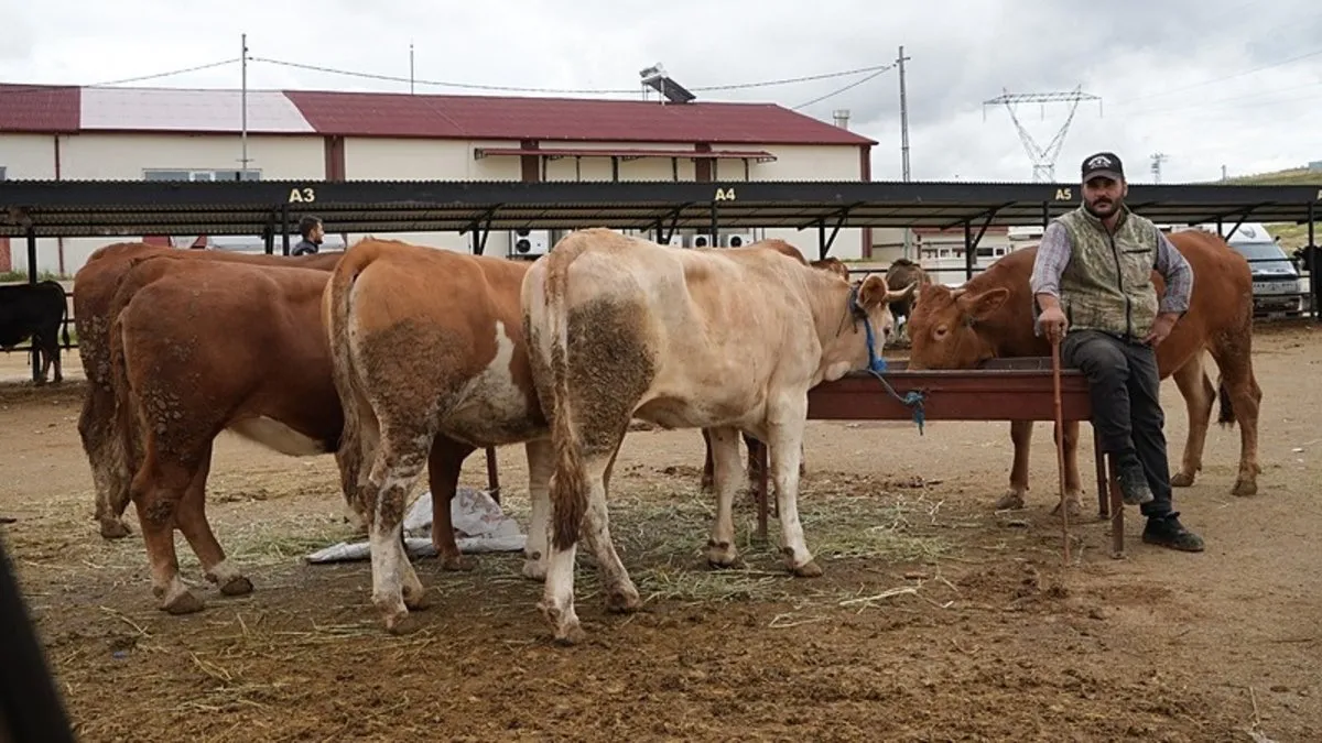 Hayvan pazarları ve yapay et iddialarına yanıt