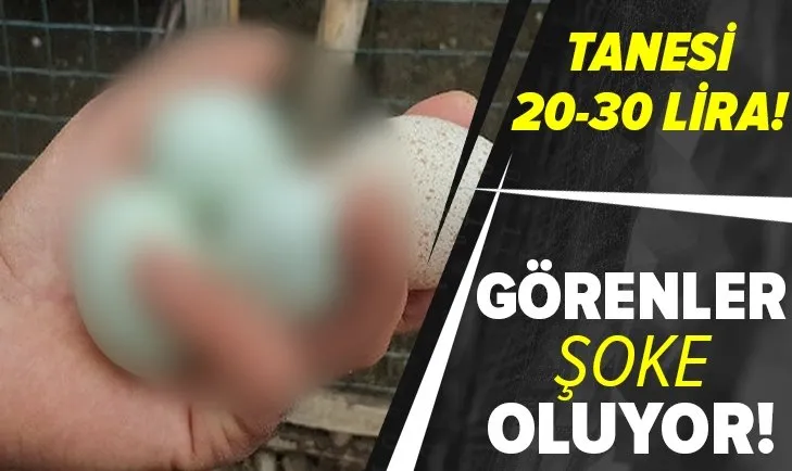 Bu yumurtaları görenler şoke oluyor! Tanesi 20-30 liraya satılıyor!