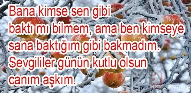 Sevgililer Günü hediyesi bayan için erkek için neler alınabilir? 14 şubat Sevgililer Günü hediye fikirleri 17