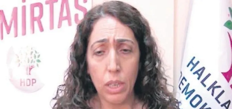 CHP'den polise yumruk atan DBP'li Salihe Aydeniz'e destek
