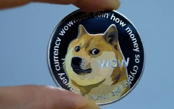 Kripto parada bir vurgun daha! Thodex'in ardından bu kez de Dogecoin: 1500 kişiyi 1 milyar lira dolandırdı - 3