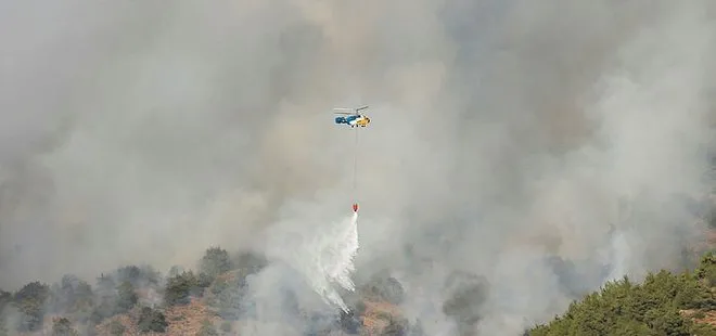 Gaziantep’teki orman yangını kontrol altında