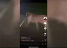 İnfial yaratan görüntülerin ardından bir skandal daha!