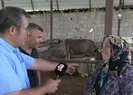 Adana’nın saklı cenneti Misis