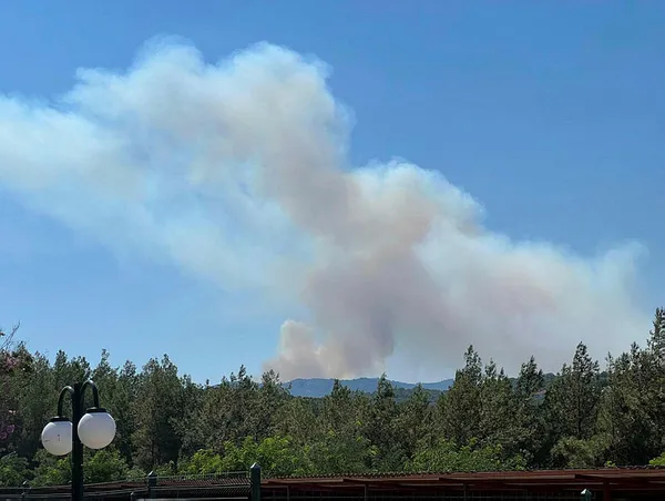 Antalya Kaş'ta korkutan orman yangını! Bölgede alarmın rengi kırmızı - 3