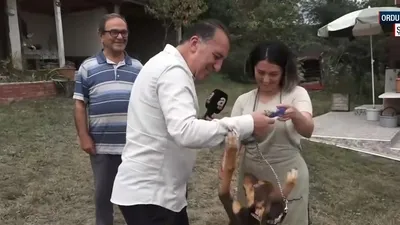 Şehre Yakın Dedeli Mahallesi’nde