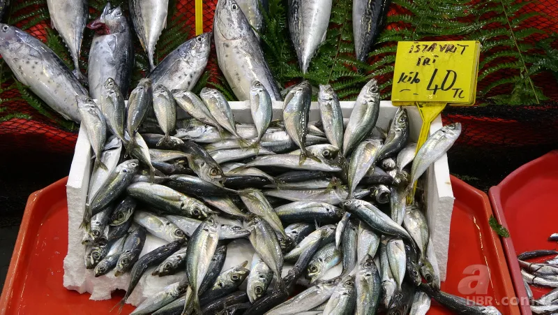 Balık fiyatları ne zaman düşer | Halden tezgaha bölge bölge fiyatlar değişiyor 12