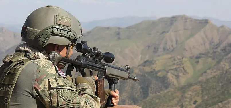 44 terörist etkisiz hale getirildi
