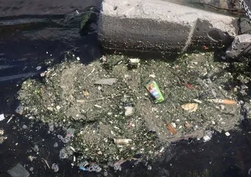 20 yıl öncesinden daha kötü! Haliç kaderine terk edildi: Fareler denizde dolaşıyor