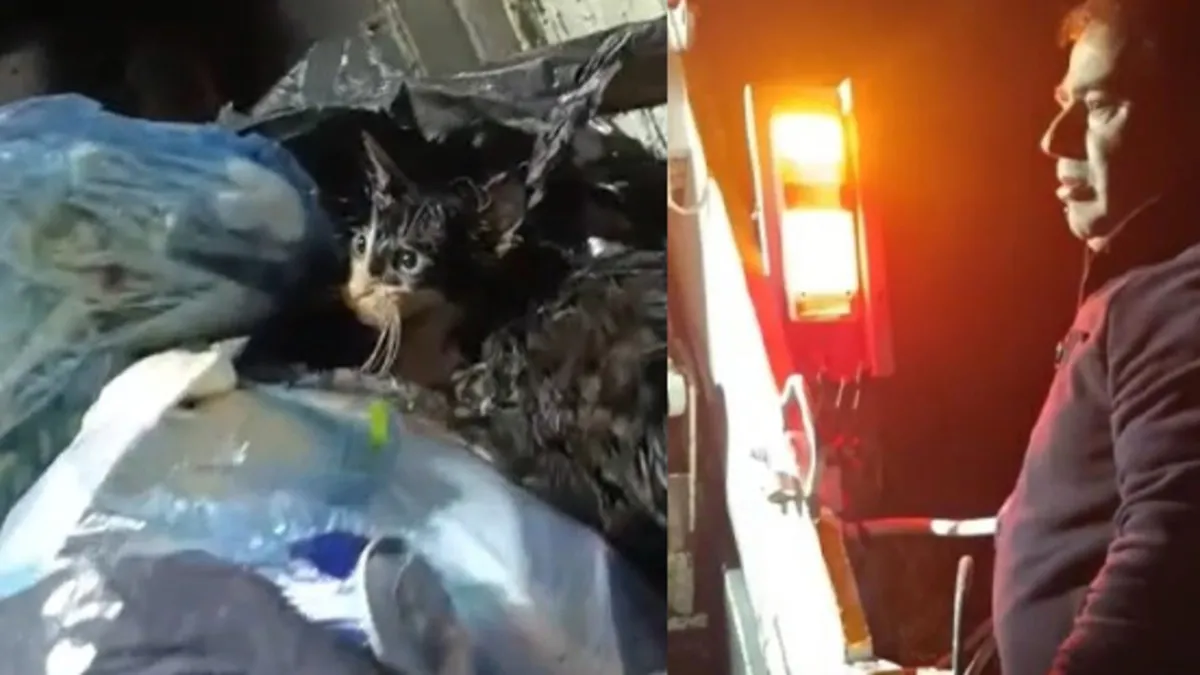 İnsanlık dışı görüntü! Belediye görevlileri fark etti