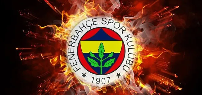 Fenerbahçeli Mehmet Topal 3 hafta sahalardan uzak kalacak