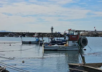 Zonguldak’ta limandan 500 ton hamsi çıktı