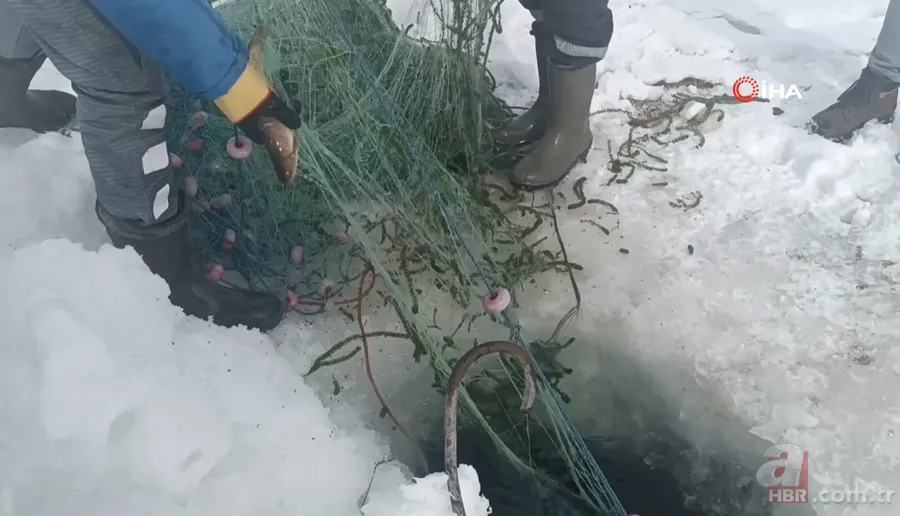 Görüntüler Türkiye’den! Kazma küreği aldılar balıkları kaptılar | İşte Eskimo usulü balık avı 7