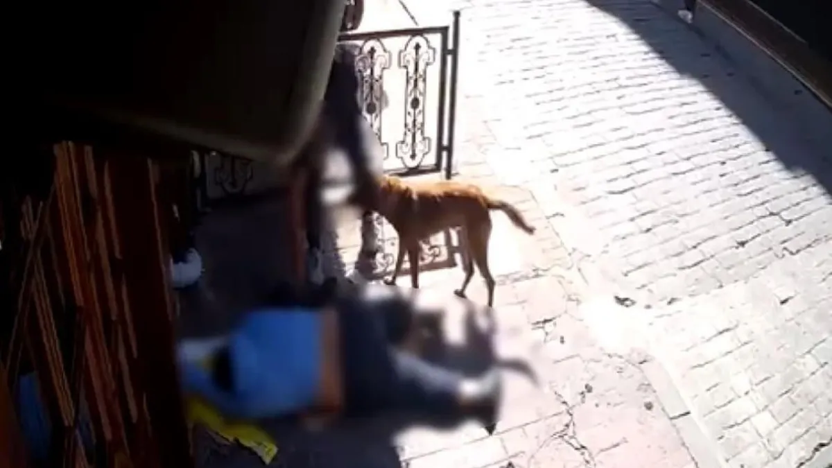 Beyoğlu’nda “pes” dedirten olay: Sara nöbeti geçiren adamın telefonunu çaldılar